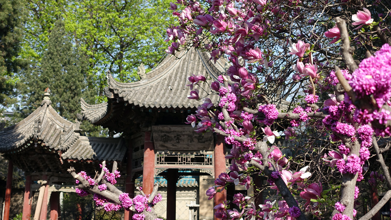 2017-03-31_155337 china-2017.jpg - Xi`an - Muslimischer Tempel